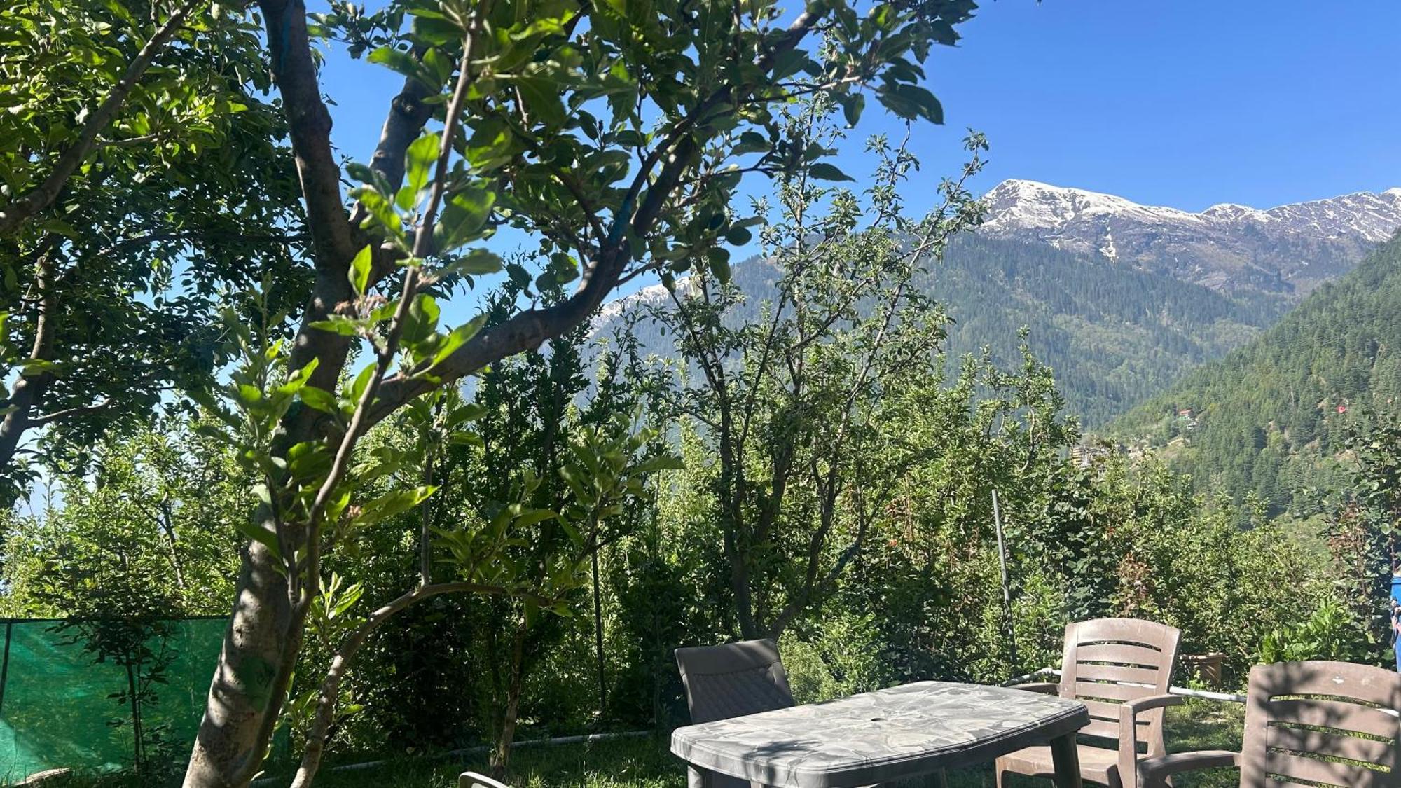 Sunface Homestay Маналі Екстер'єр фото